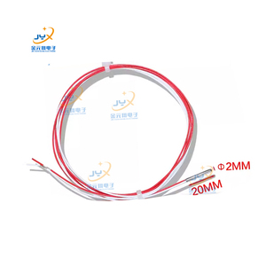 <span class=keywords><strong>4</strong></span> classe do tubo 2*20mm do fio um <span class=keywords><strong>sensor</strong></span> 0.5m da temperatura RTD PT100 - Product Image 2