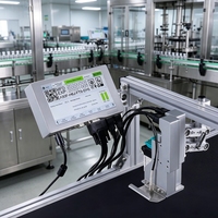 Impresora de Inyección de Tinta Térmica Industrial en Línea Automática Docod T230e, Máquina de Codificación de Códigos de Barras y Fechas de Caducidad Variables