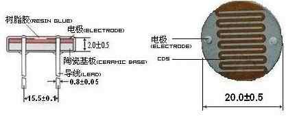 20mm Photoresistor Sensor - PIR LED Detector for Human Motion