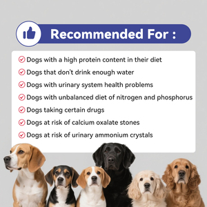 Perawatan rumput Formula kustom won-methionine + bantuan alami enzim yang disebabkan halaman hijau kunyah urin anjing untuk anjing - Product Image 4