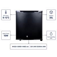 Mini-réfrigérateur électrique portable silencieux et économe en énergie de 30 L pour hôtel, chambre d'hôtes, refroidisseur de boissons