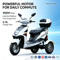 Scooter électrique à 3 roues 1000W 60V, carrosserie ouverte, capacité 300kg, tricycle fermé, siège passager ouvert, tricycle à 3 roues