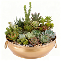 Pot besi gaya Vintage, dengan pegangan cincin ganda emas buatan tangan penanam logam bulat untuk dekorasi rumah dalam ruangan berkebun dan pesta