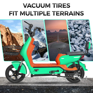 Scooter électrique Sacred Cow, batterie au plomb-acide 48V, double siège, vélo de banlieue léger - Product Image 2