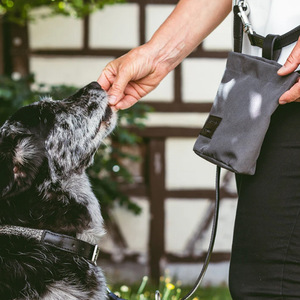 Bolsa para comida de mascotas/bolsa para excrementos de perro, bolsa de lona para entrenamiento de perros al aire libre, bolsa para almacenar comida de gatos, bolsa para snacks hecha a medida. - Product Image 4