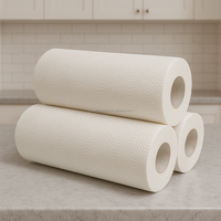 Premium keukenpapier, 2-laags, sterk absorberend, rol, exportleverancier voor wereldwijde groothandelskopers