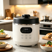 Cuisinière électrique à pression de grande capacité 6L, cuve intérieure en acier inoxydable 304, double tension 110V 220V, multicuiseur 12-en-1, OEM