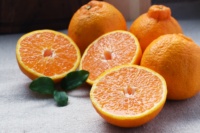 Bulkimport Rijke Smaak Hoge Suikergehalte Premium Mandarijnen Sinaasappel Fruit Vers Exporteurs
