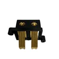 Borne d'amplificateur de voiture JSZ2A-29, borne de liaison audio automobile haute intensité 2P à broches inversées, moulée sous pression et plaquée or