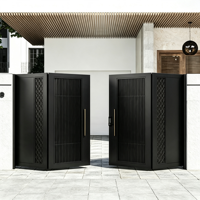 Porte pliante moderne en aluminium noir mat sur mesure |   Panneau de brise-vue vertical à persiennes, motif diamant ajouré, anti-rouille, pour cour