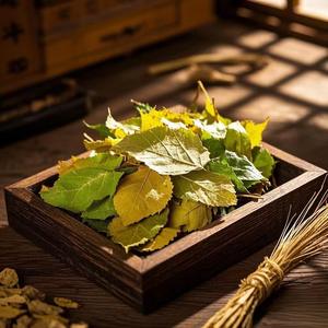 Hierbas secas naturales Té de hojas de morera Hojas de morera secas Sang Ye Hierba seca Gránulos enteros de FOLIUM Mori Té de hierbas - Product Image 4