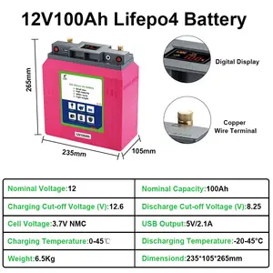 Pack rechargeable solaire 12V 100Ah de grande capacité et léger, batterie au lithium, prix de gros