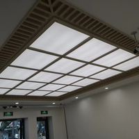 Plaque de marbre naturel flexible, surface fendue, ardoise translucide, panneau de pierre mince de 2 mm pour la décoration de villas modernes, salles à manger et maisons