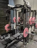 Equipo de Gimnasio en Casa REYK, Máquina de Ejercicios Multifuncional 3D Compacta con Cable Cruzado, Power Rack, Smith Machine de Acero, 75 kg