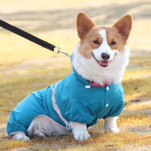 Short Reflective Raincoat For Corgis Full Coverage Waterproof Bodysuit For Small <b>Dogs</b> Yellow Lake Blue Four Seasons Pet <b>Clothes</b> - Product Image 2