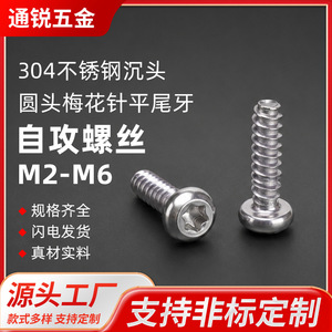 Vis autotaraudeuse à tête ronde Tongrui Hardware, à empreinte Torx, en acier inoxydable nickelé, fixation de précision - Product Image 2