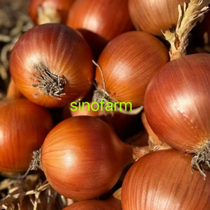 Cebollas Bawang <span class=keywords><strong>Bombay</strong></span> <span class=keywords><strong>de</strong></span> Alta Calidad, Tamaño Grande, <span class=keywords><strong>Precio</strong></span> al por Mayor, Exportación <span class=keywords><strong>de</strong></span> Vegetales Frescos, Cebolla Amarilla - Product Image 3