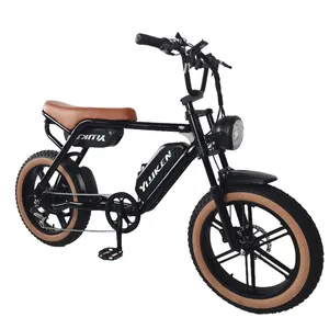 2024热卖13Ah双电池成人电动自行车高功率容量ebike 500瓦轮毂电机