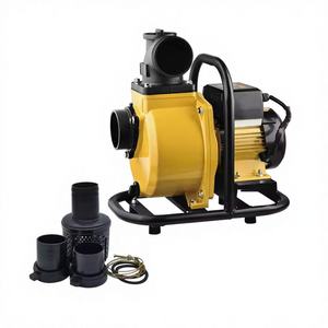 <span class=keywords><strong>Pompe</strong></span> solaire <span class=keywords><strong>de</strong></span> <span class=keywords><strong>surface</strong></span> à haut débit <span class=keywords><strong>de</strong></span> 2 pouces, 48V 900W, MPPT, pour l'irrigation agricole, <span class=keywords><strong>pompe</strong></span> centrifuge auto-amorçante solaire CC - Product Image 4