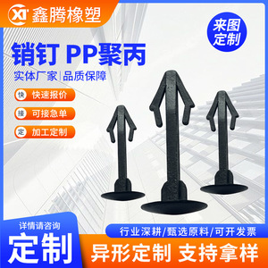 Nylon Pins Automotive <b>Plastic</b> Clip Black Custom Made Fastener For Sealing <b>Strip</b> - Product Image 5