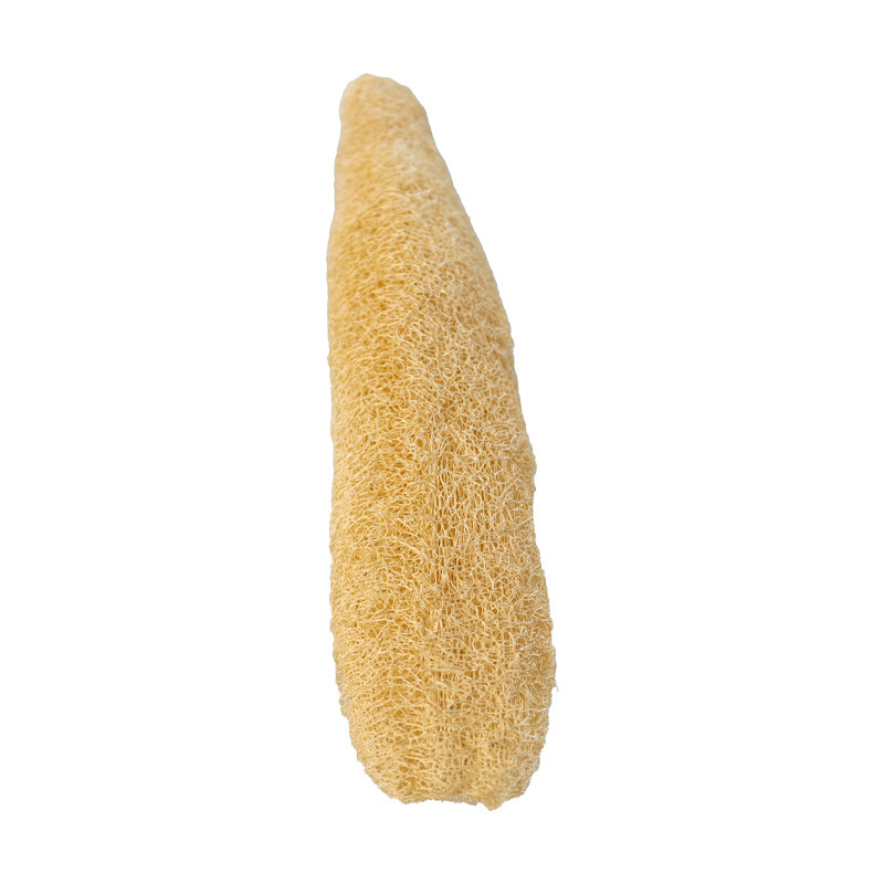 20-25 cm de longueur