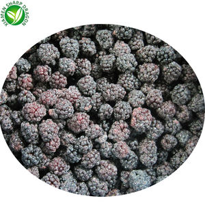 IQF Freeze <span class=keywords><strong>Organic</strong></span> Fresh Blackberries Sweet <span class=keywords><strong>Frozen</strong></span> Fruit em Embalagem a Granel - Product Image 6