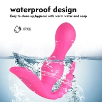 Fernbedienbarer Tragbarer Slip-Vibrator 10 Frequenzen Klitoris G-Punkt Anal Dreifach-Stimulation Doppelmotor IPX6 Wasserdicht