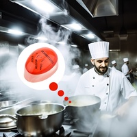 Minuterie d'oeufs bouillis _ Oeufs parfaitement cuits à chaque fois Bouillir parfait Changement de couleur Gadget de cuisine Ustensiles de cuisine Forme d'oeuf coloré