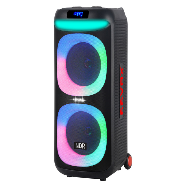 NDR-1908 Outdoor Big Speakers Dj Party Colorful Led Light Box Sound Double 8 Inch Rechargeable Trolley Speaker With Microphone