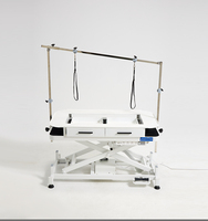 Table de toilettage électrique relevable pour animaux, protection anti-fuite, construction automatique en acier inoxydable, rangement sécurisé sous la table