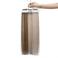 Extensions de cheveux humains Remy, carte de couleurs, trame plate en PU, tissage invisible, couleurs mélangées, petite commande