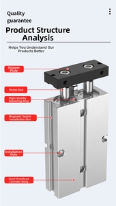 กระบอกลมคุณภาพสูง DiYi ยี่ห้อ Airtac แบบสองแกน สองตัวนำทาง รุ่น TN กระบอกลมแบบสองแกนคู่ พร้อมแม่เหล็ก - Product Image 6
