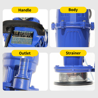 Petite Pompe à Eau Submersible Portable Haute Pression pour Puits Profond avec Moteur Protégé
