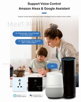 Prise murale intelligente Tuya avec contrôle WIFI, port USB, prise électrique universelle, interrupteur 16A, compatible Alexa et Google Voice