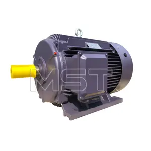 50 60HZ 220v ac motor speed control Cast Iron three phase AC Industrial Electric Electrical Induction Asynchronous Motor