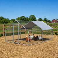 Cage à volailles en métal de petite taille, poulailler extérieur, enclos pour animaux de compagnie pour jardin, cour arrière, patio
