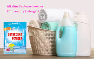 פרוטאינאז פרוטיאז או serine proteinase מנטורציה של bacillus עבור יישומים דטרגנט & ניקוי - Product Image 3