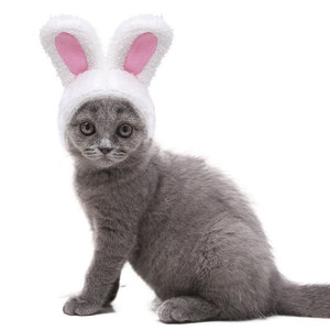 Shine Pet Rabbit Hat White <b>Plush</b> Winter Warm Comfortable For <b>Cats</b> Dogs Small Medium Size - Product Image 5