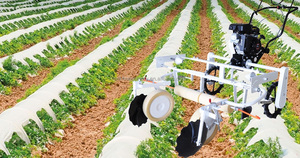 Nông nghiệp bằng tay nhựa mulching máy với điều chỉnh chiều cao và chiều rộng tay kéo nhựa mulching công thức máy - Product Image 2