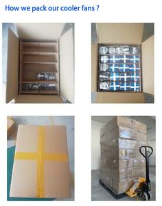 Ventilateurs de refroidissement pour <span class=keywords><strong>HP</strong></span> pour <span class=keywords><strong>PROBOOK</strong></span> <span class=keywords><strong>6560b</strong></span> 8560P(MG60090V1-B000-S99 Rev.001 641183-001) pour ordinateur portable - Product Image 3