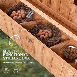 Équipement de volaille en bois poulailler en bois canard maison avec plateau coulissant nichoir portes verrouillables petite Cage étanche - Product Image 4