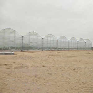 Đa span cao đường hầm <span class=keywords><strong>Gothic</strong></span> nhà kính Bộ dụng cụ trồng trong nhà Rau Sản xuất tại Trung Quốc - Product Image 3