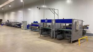 Ligne de classement de fruits Unitec 1 ligne d'avocat en Italie machine de classement de fruits d'occasion à bon prix ligne de tri automatique de fruits - Product Image 5