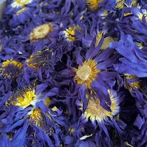 Chá de Lótus Azul Orgânico Fresco e Seco para Emagrecimento - Cuidados de Beleza, Embalagem a Granel/Saco, Chá Solto de Alta Qualidade da Anhui Fuli Hall - Product Image 3