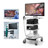 Système de caméra d'endoscopie vétérinaire portable Mindray Vetina CS7 Full HD 4K avec source de lumière LED 80W et enregistrement vidéo