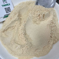 Poudre d'ail séché naturel sauvage de qualité supérieure en gros, 100% pur, arôme intense, épice alimentaire du Vietnam
