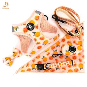 Bandana Personalizada con Logotipo para Perro, Conjunto de Collar y Correa con Estampado Personalizado, Conjunto de Arnés y Correa Ajustables para Perro - Product Image 3