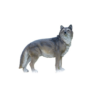 Escultura <span class=keywords><strong>de</strong></span> fibra <span class=keywords><strong>de</strong></span> vidrio <span class=keywords><strong>de</strong></span> <span class=keywords><strong>animales</strong></span> <span class=keywords><strong>de</strong></span> lobo artificial ecológica al aire libre para Parque bosque área escénica césped zoológico decorativo - Product Image 2
