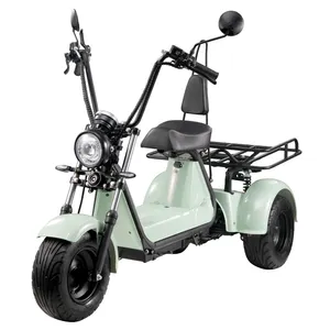 Usine OEM/ODM Scooter de mobilité électrique à 3 roues Tricycle électrique à trois roues pour adultes Tricycle motorisé pour adultes