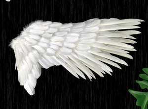 羽毛天使翅膀女孩女性角色扮演仙女翅膀万圣节圣诞派对服装装扮艺术装饰品黑白<span class=keywords><strong>M</strong></span>码 - Product Image 6